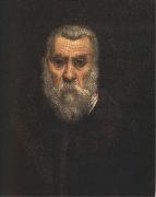 Jacopo Tintoretto Self-Portrait oil painting picture wholesale